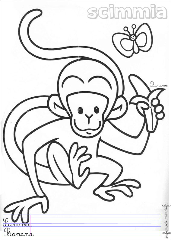 coloriage singe 1